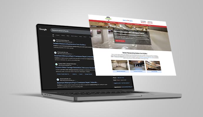 Google search and website view