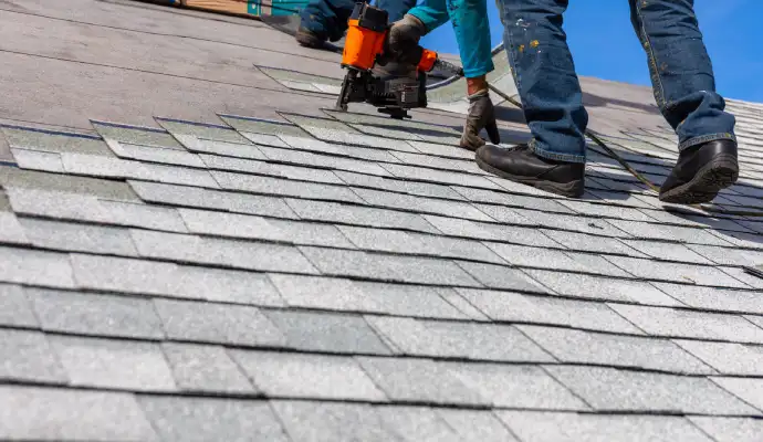 Professional roofing service